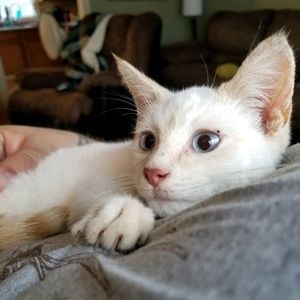 Meet your Posher, Christopher